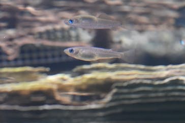 名古屋市東山動植物園に投稿された画像（2025/11/24）