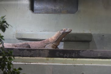 名古屋市東山動植物園に投稿された画像（2025/11/24）