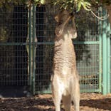 こども動物自然公園（埼玉県公園緑地協会）に投稿された画像（2025/11/24）