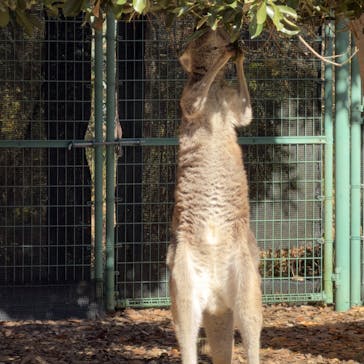 こども動物自然公園（埼玉県公園緑地協会）に投稿された画像（2025/11/24）