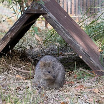 こども動物自然公園（埼玉県公園緑地協会）に投稿された画像（2025/11/24）