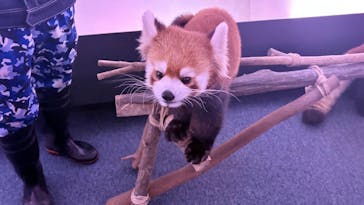 横浜・八景島シーパラダイスに投稿された画像（2025/11/24）