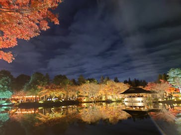 国営昭和記念公園 秋の夜散歩に投稿された画像（2025/11/24）