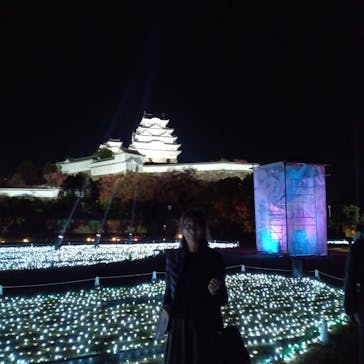 Himeji Castle of Light『DANDELION PROJECT 姫路城×NAKED, INC.』に投稿された画像（2025/11/24）