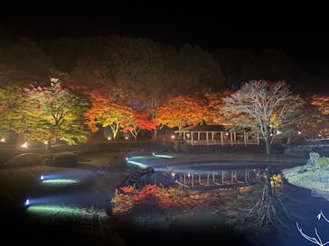 修善寺虹の郷に投稿された画像（2025/11/24）