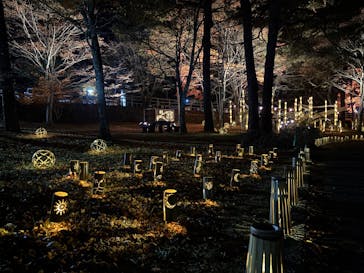 修善寺虹の郷に投稿された画像（2025/11/24）