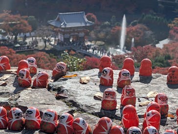 勝尾寺に投稿された画像（2025/11/24）