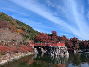 勝尾寺に投稿された画像（2025/11/24）