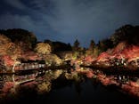 名古屋市東山動植物園に投稿された画像（2025/11/24）
