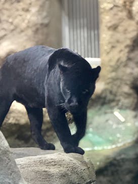 名古屋市東山動植物園に投稿された画像（2025/11/24）