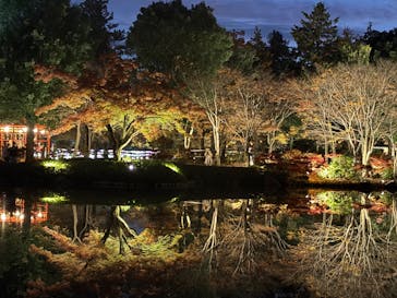 国営昭和記念公園 秋の夜散歩に投稿された画像（2025/11/24）