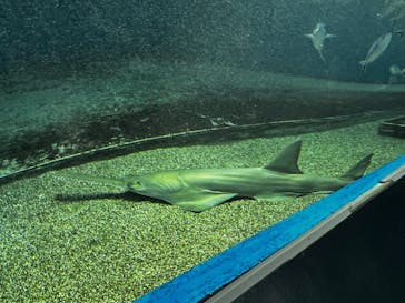 マクセル アクアパーク品川に投稿された画像（2025/11/24）