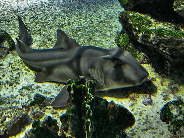 マクセル アクアパーク品川に投稿された画像（2025/11/24）