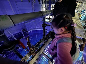 マクセル アクアパーク品川に投稿された画像（2025/11/24）