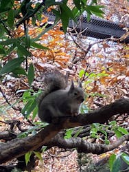 井の頭自然文化園に投稿された画像（2025/11/24）