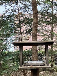 井の頭自然文化園に投稿された画像（2025/11/24）