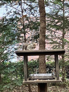 井の頭自然文化園に投稿された画像（2025/11/24）