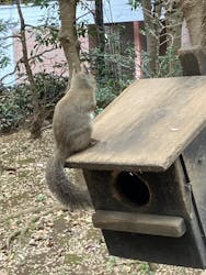 井の頭自然文化園に投稿された画像（2025/11/24）