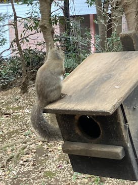 井の頭自然文化園に投稿された画像（2025/11/24）