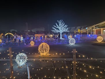 東京メガイルミに投稿された画像（2025/11/24）