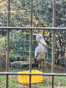 千葉市動物公園に投稿された画像（2025/11/24）