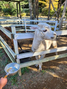 千葉市動物公園に投稿された画像（2025/11/24）