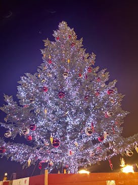Christmas Market in 横浜赤レンガ倉庫 2025に投稿された画像（2025/11/24）