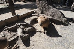 マリンワールド海の中道に投稿された画像（2025/11/24）