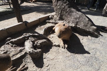 マリンワールド海の中道に投稿された画像（2025/11/24）