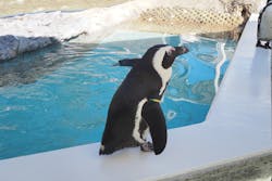 マリンワールド海の中道に投稿された画像（2025/11/24）