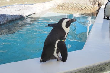 マリンワールド海の中道に投稿された画像（2025/11/24）
