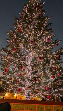 Christmas Market in 横浜赤レンガ倉庫 2025に投稿された画像（2025/11/24）