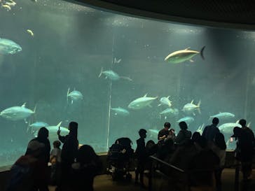 葛西臨海水族園に投稿された画像（2025/11/24）