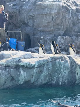 葛西臨海水族園に投稿された画像（2025/11/24）