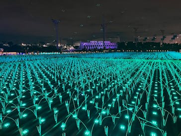 東京メガイルミに投稿された画像（2025/11/24）