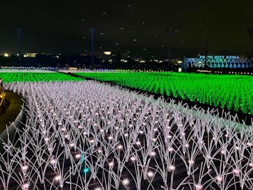 東京メガイルミに投稿された画像（2025/11/24）