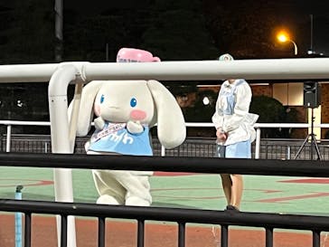 東京メガイルミに投稿された画像（2025/11/24）