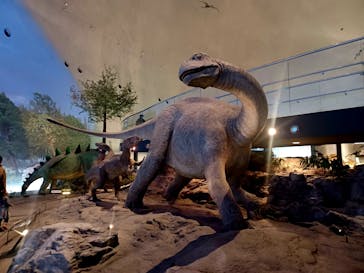 福井県立恐竜博物館に投稿された画像（2025/11/24）