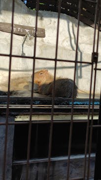 レオマリゾートに投稿された画像（2025/11/24）