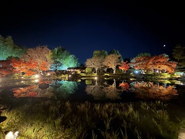 国営昭和記念公園 秋の夜散歩に投稿された画像（2025/11/24）
