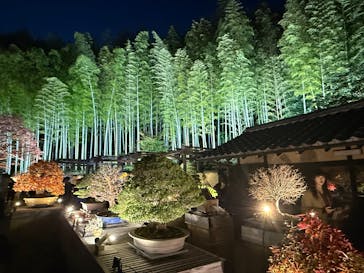 国営昭和記念公園 秋の夜散歩に投稿された画像（2025/11/24）