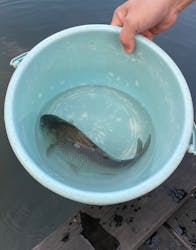 栃木県なかがわ水遊園に投稿された画像（2025/11/24）