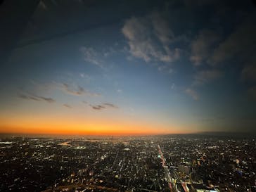 ハルカス300(展望台)に投稿された画像（2025/11/24）