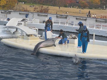 京都水族館に投稿された画像（2025/11/24）