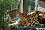 日立市かみね動物園に投稿された画像（2025/11/24）
