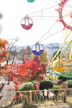 日立市かみね動物園に投稿された画像（2025/11/24）