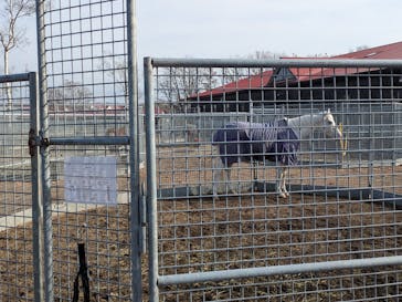 ノーザンホースパークに投稿された画像（2025/11/24）