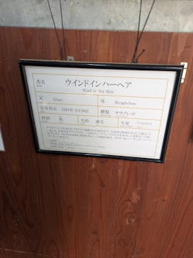 ノーザンホースパークに投稿された画像（2025/11/24）