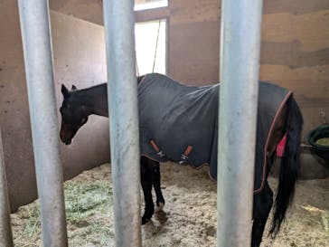 ノーザンホースパークに投稿された画像（2025/11/24）