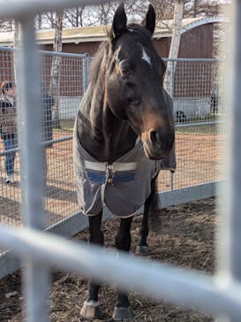 ノーザンホースパークに投稿された画像（2025/11/24）